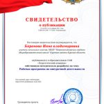 Рабочая программа по внеурочной деятельности